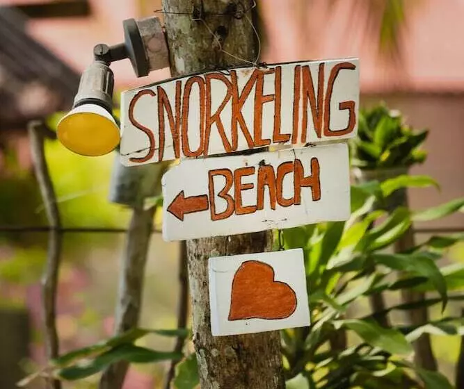 پانسیون Amami Beach Resort