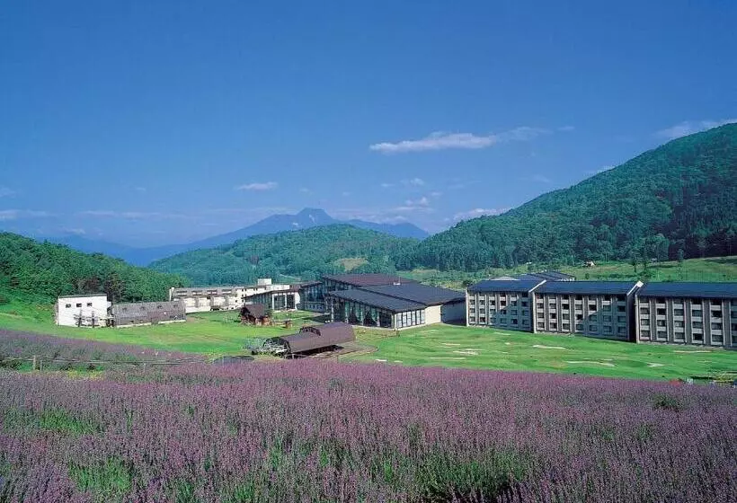 渡假胜地 Tangram