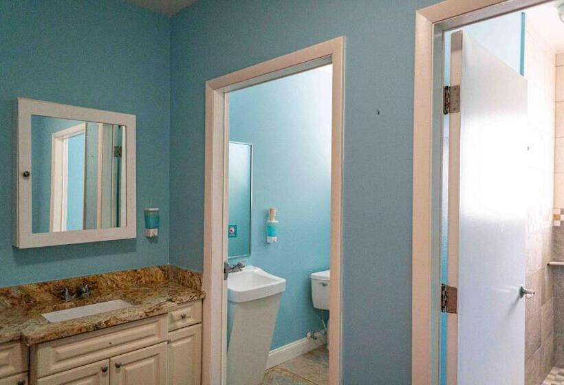 فندق صغير Beds N' Drinks