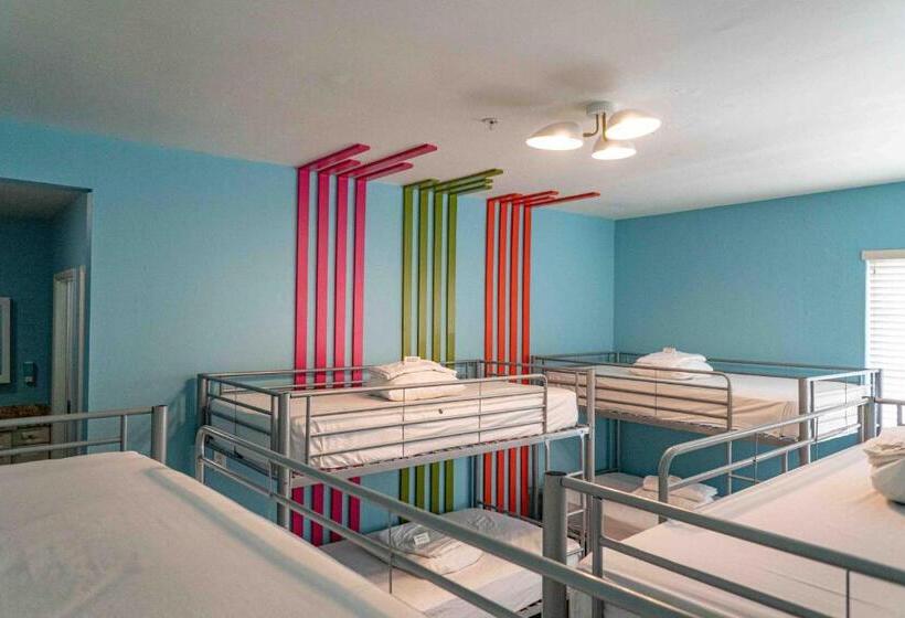 فندق صغير Beds N' Drinks