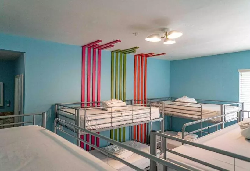 Hostel Beds N' Drinks