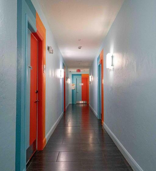 فندق صغير Beds N' Drinks