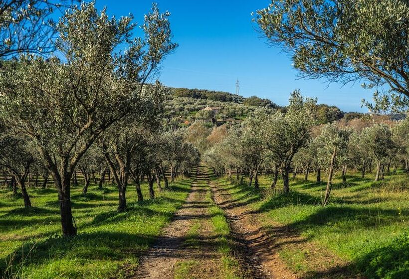 فندق Agriturismo Costantino