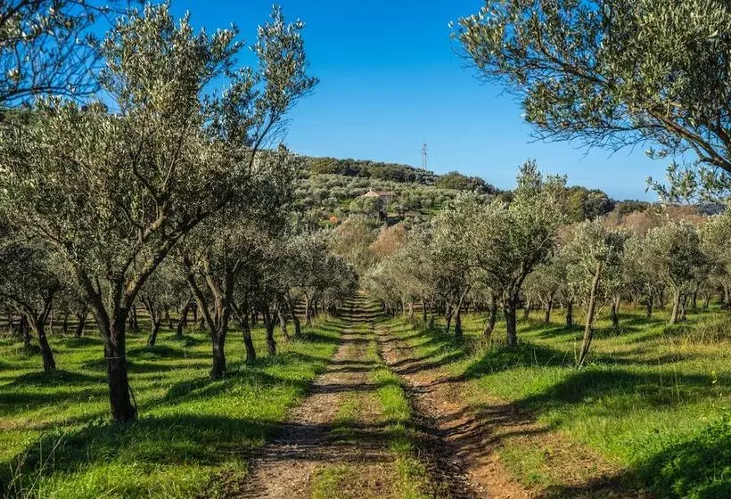 酒店 Agriturismo Costantino