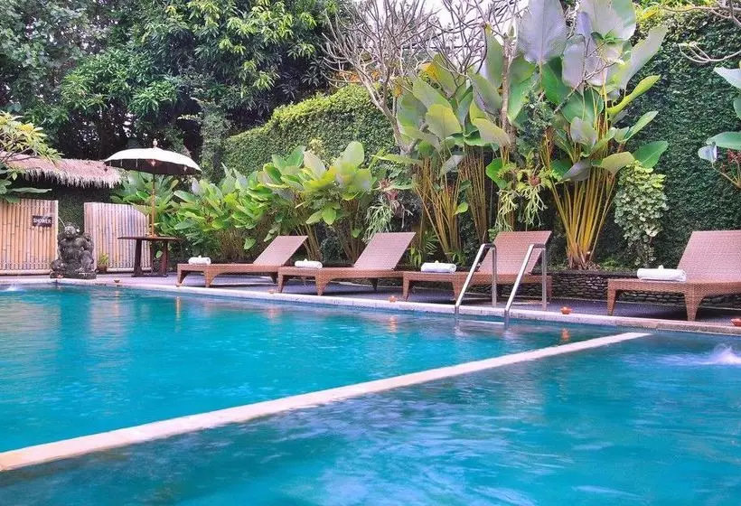 酒店 Ayu Bungalow Ubud 1