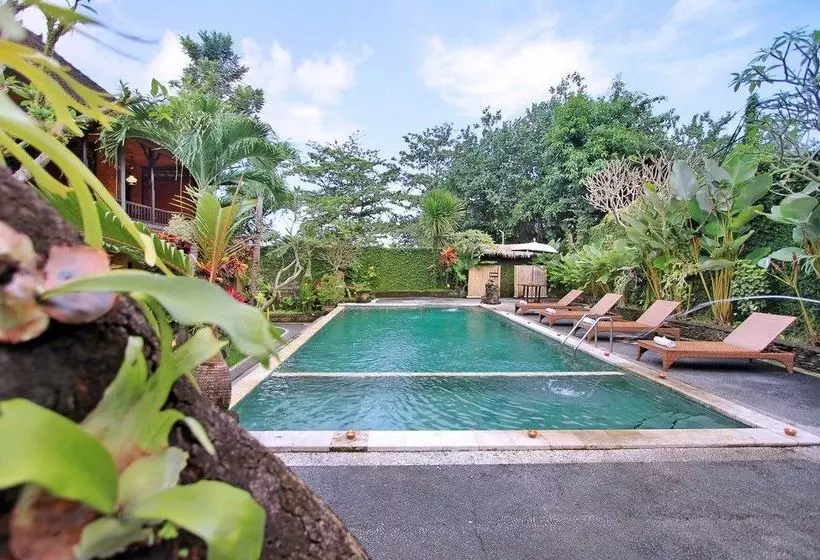 酒店 Ayu Bungalow Ubud 1