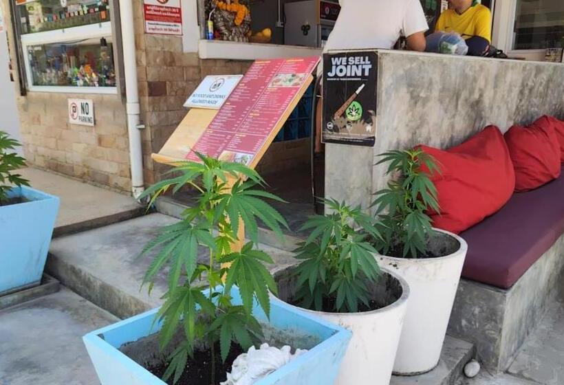 בית מלון כפרי Viva