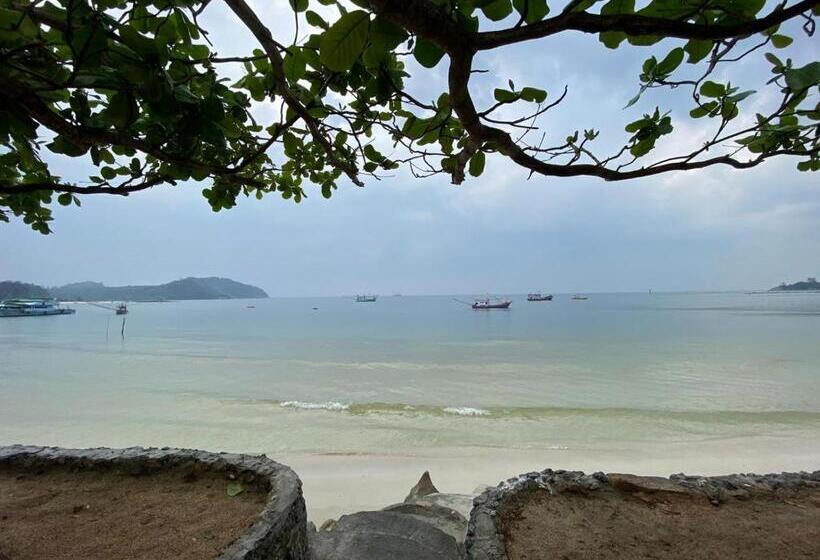 בית מלון כפרי Viva