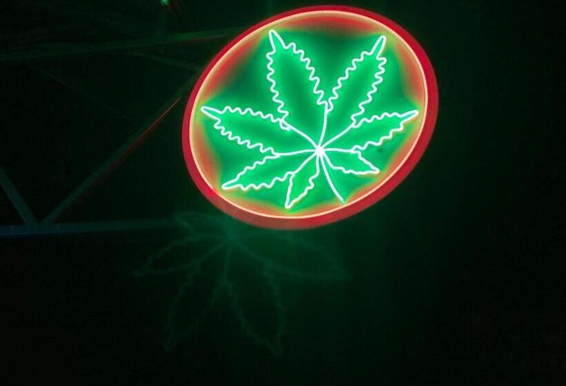 בית מלון כפרי Viva