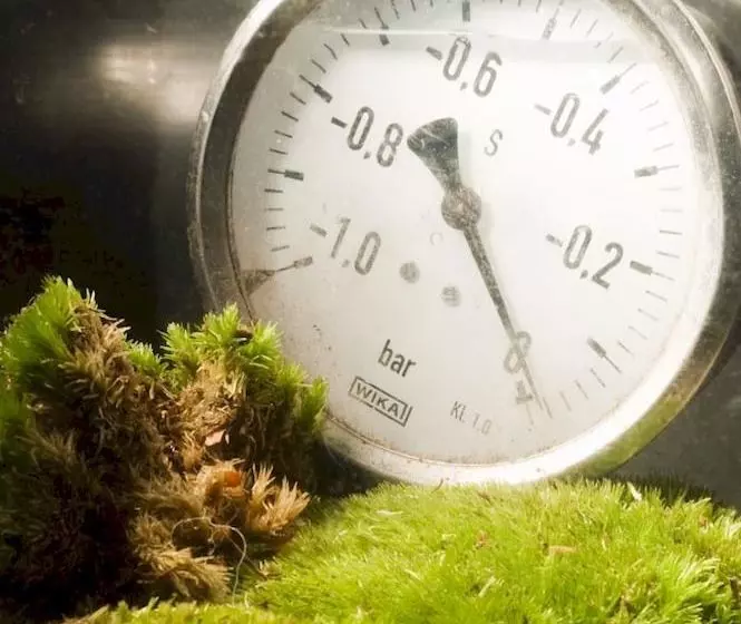 Voyage Désirable - La Cabane Du Capitaine Nemo