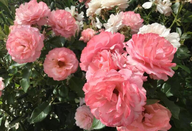 Agriturismo Monaci Templari