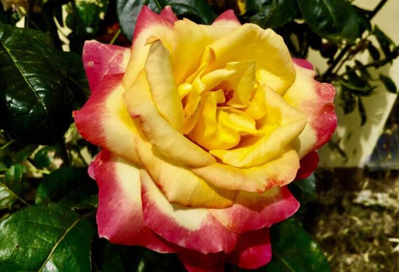 Agriturismo Monaci Templari