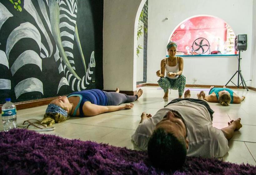 הוסטל Casa Miraflores