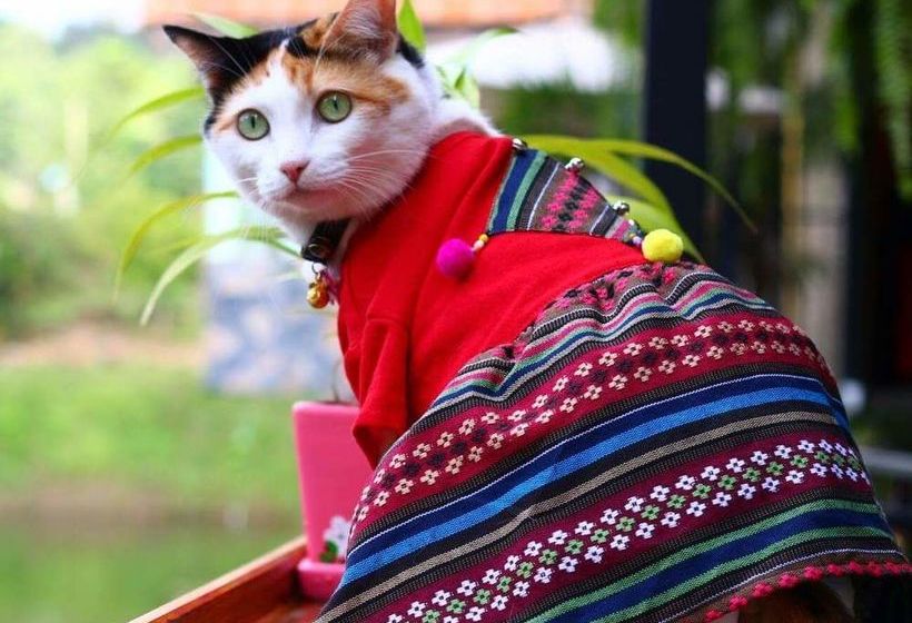 בית מלון כפרי Baan Suan Him Doi