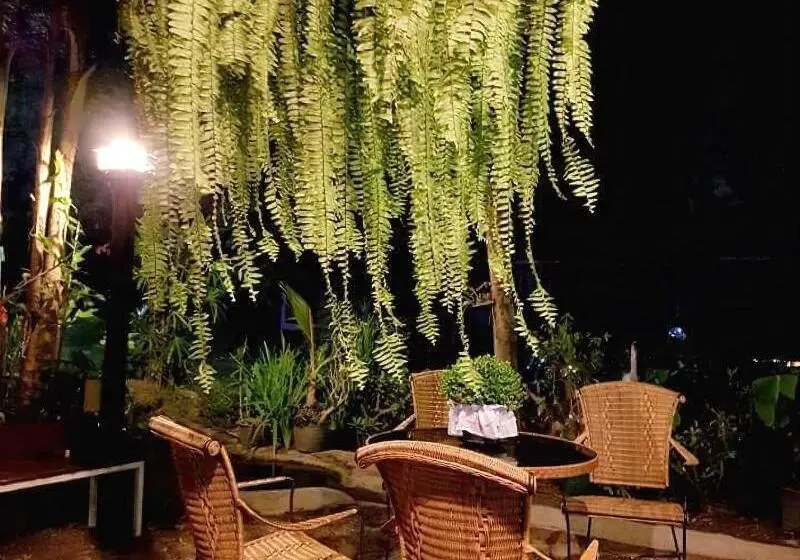 ホテル Baan Suan Him Doi
