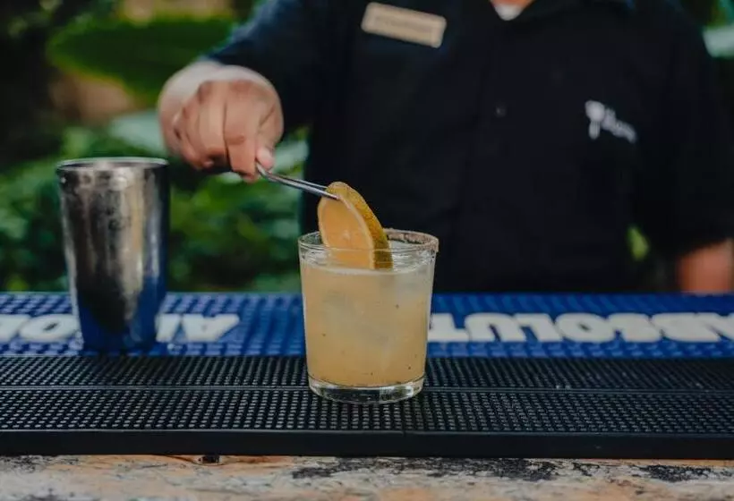 酒店 Posada San Juan