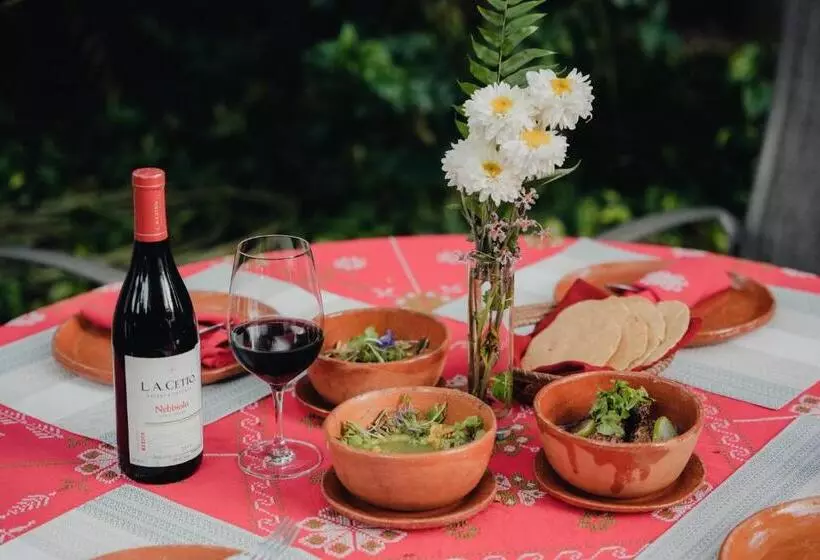 酒店 Posada San Juan