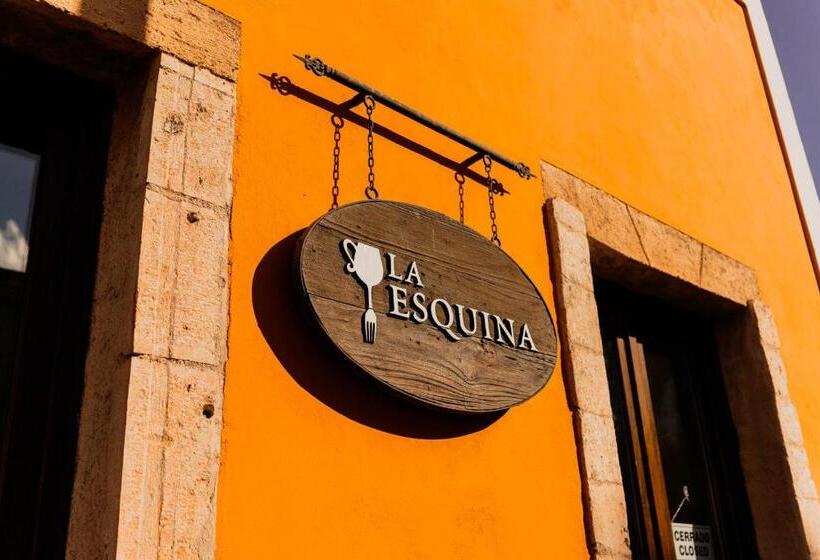 호텔 Posada San Juan