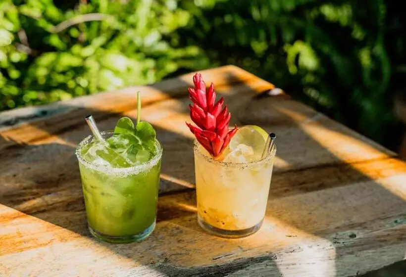 酒店 Posada San Juan