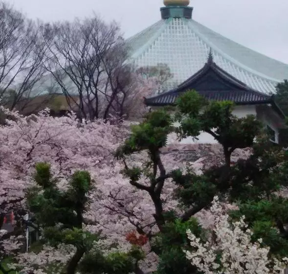 Отель Sotetsu Fresa Inn Ochanomizujimbocho