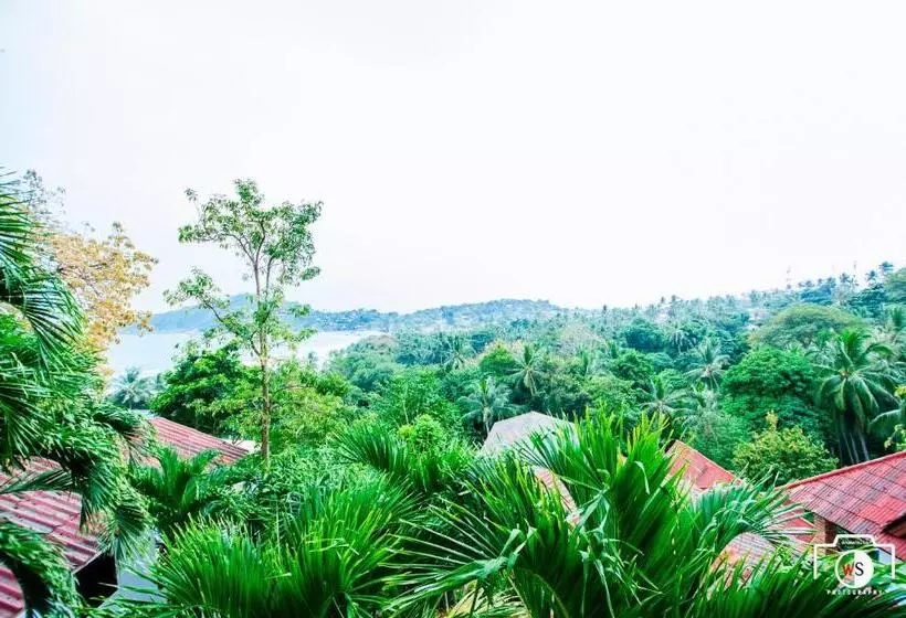 هتل Venus Resort