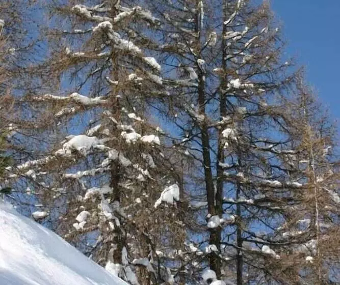 Madame Vacances Les Lodges Des Alpages