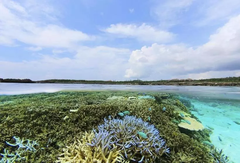 Wellness Villa Brisa