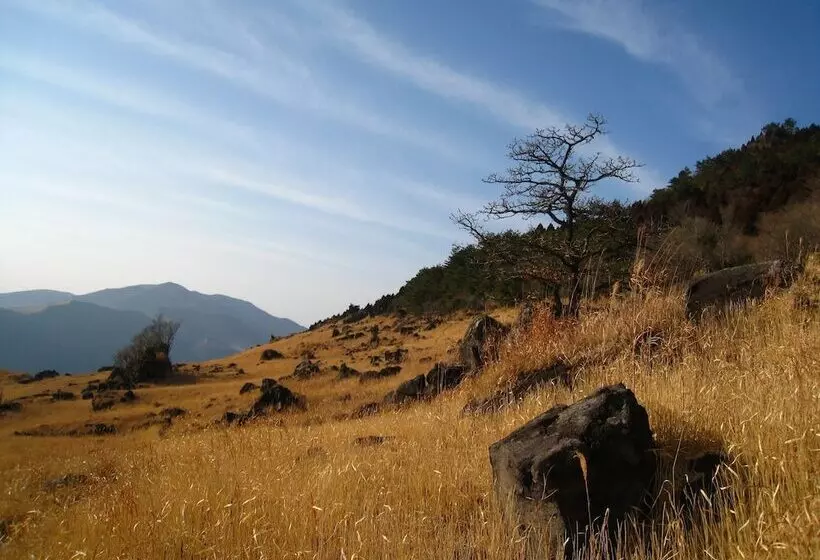 Yufuin Country Road Youth Hostel
