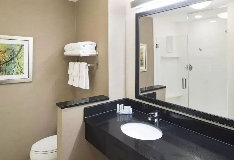 Hotel Fairfield Inn & Suites By Marriott Houston Pasadena