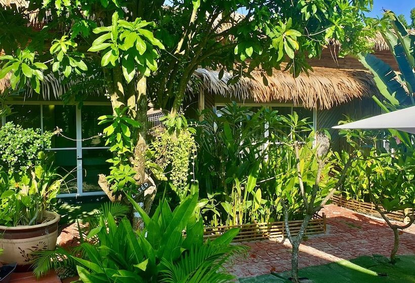 Hotel Lipe Oasis Resort