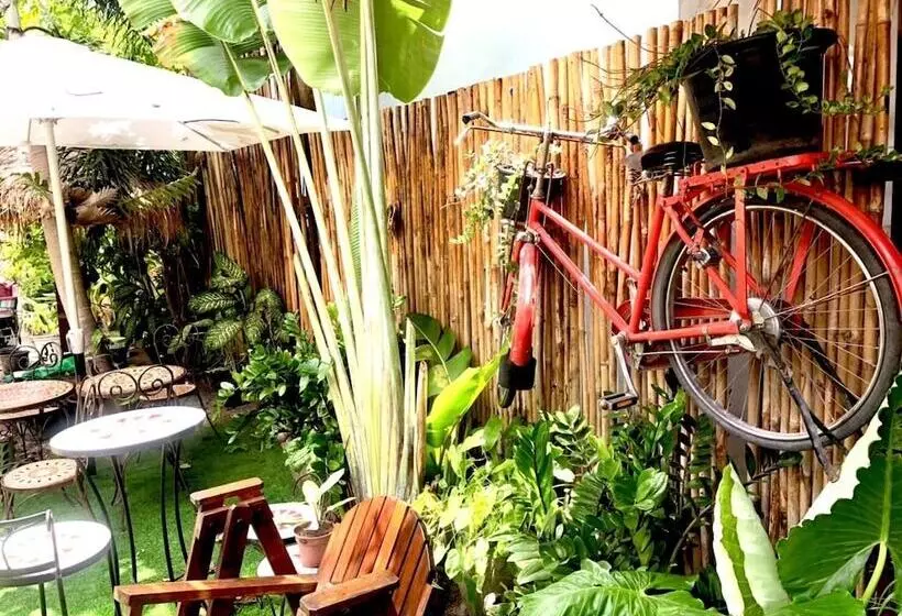 هتل Lipe Oasis Resort