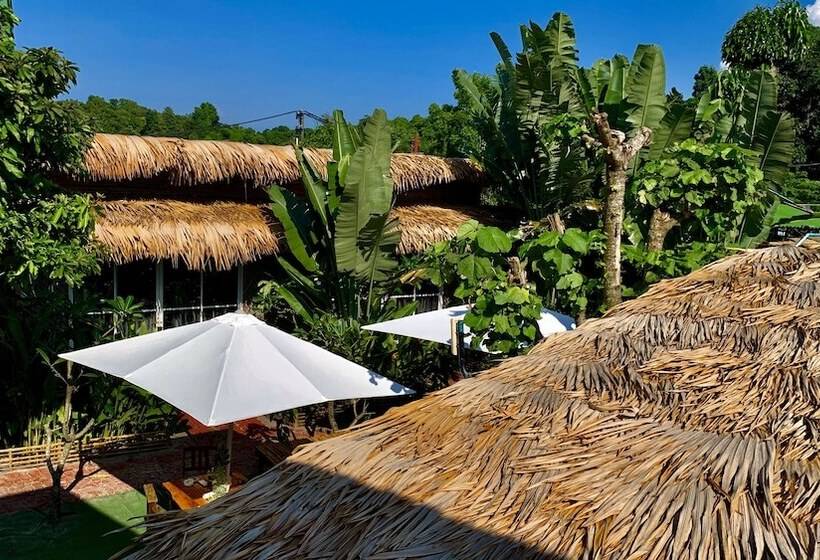 Hotel Lipe Oasis Resort