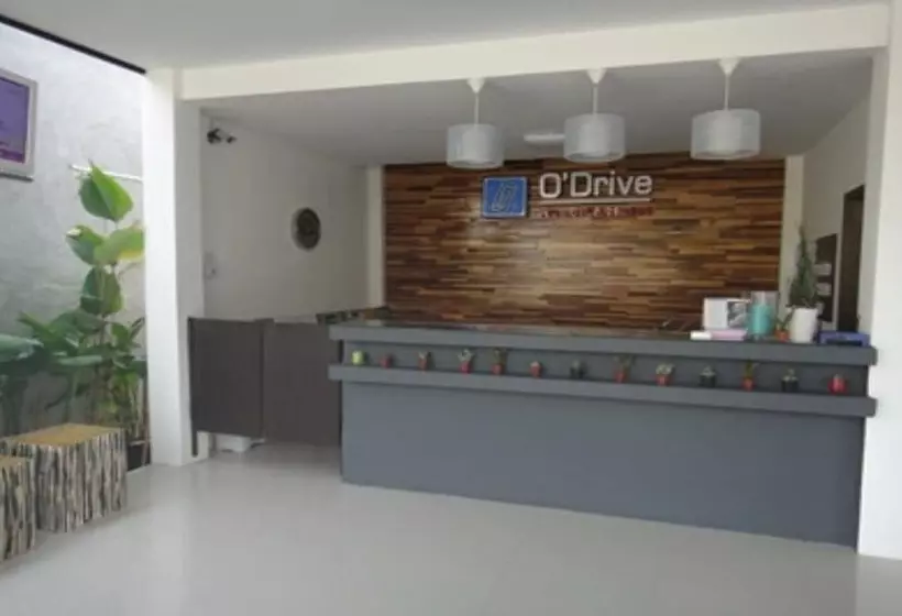 בית מלון כפרי O  Drive Resort &