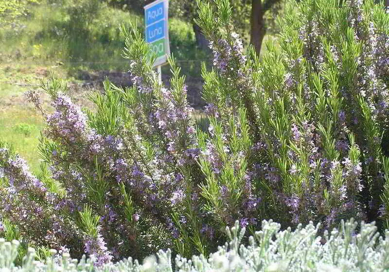 ホテル Rural Aqua Luna Spa