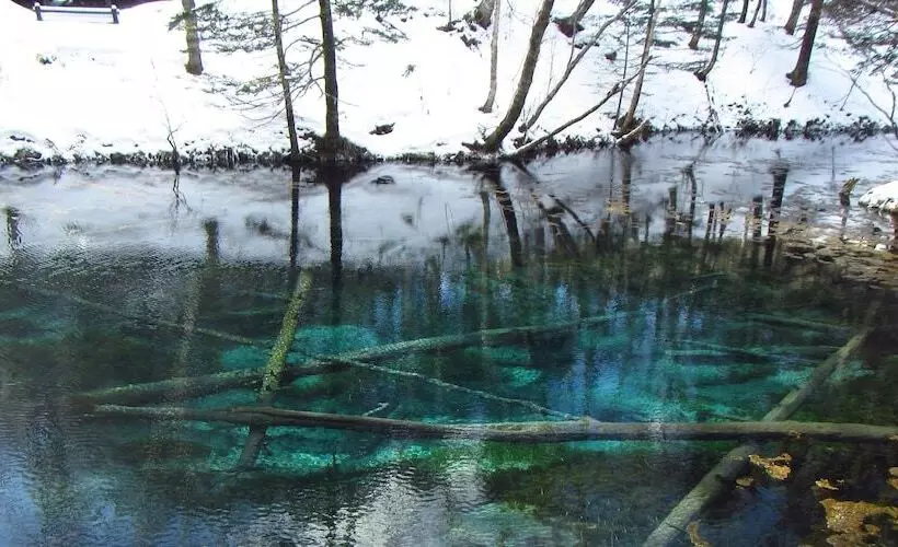 Kiyosato Ihatov Hostel