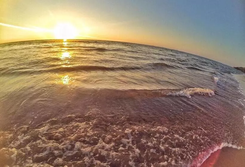 ペンション Marina Hut Guest House