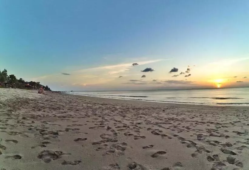 ペンション Marina Hut Guest House