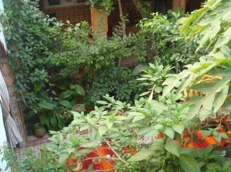 Riad Maryam Taroudant