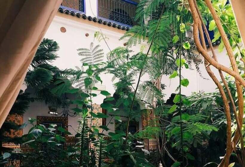 Riad Maryam Taroudant