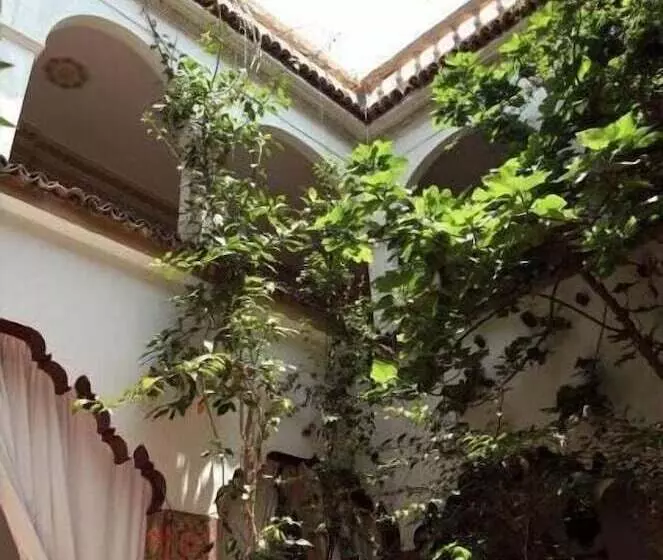 Riad Maryam Taroudant