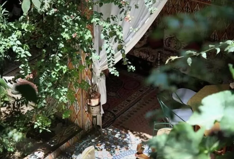 Riad Maryam Taroudant