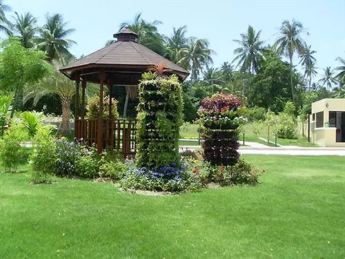 Samui Grove Villas