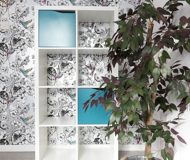 The Addenbrooke S Suite