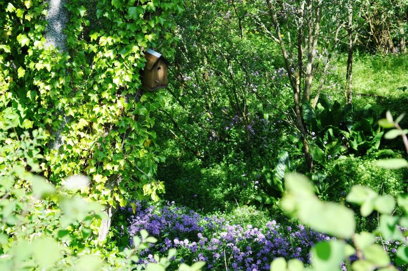 Bed and Breakfast Craigmhor Lodge & Courtyard