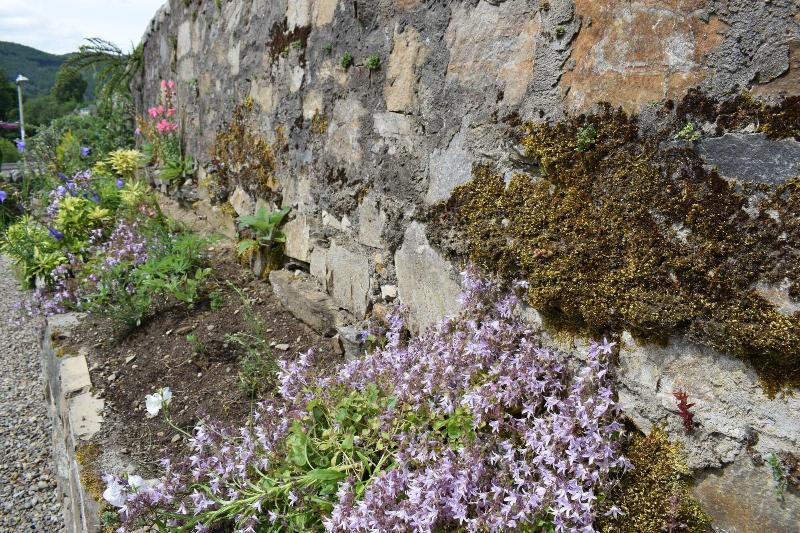 Bed and Breakfast Craigmhor Lodge & Courtyard
