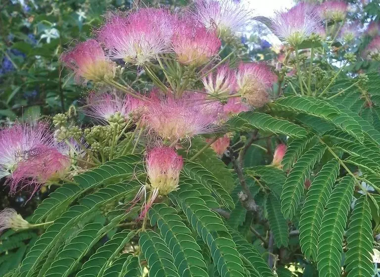 Gloucester On Avon Bed & Breakfast