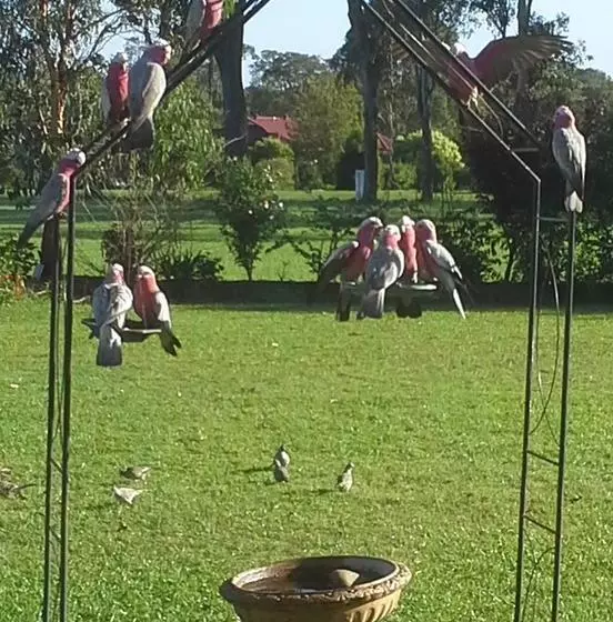 Gloucester On Avon Bed & Breakfast