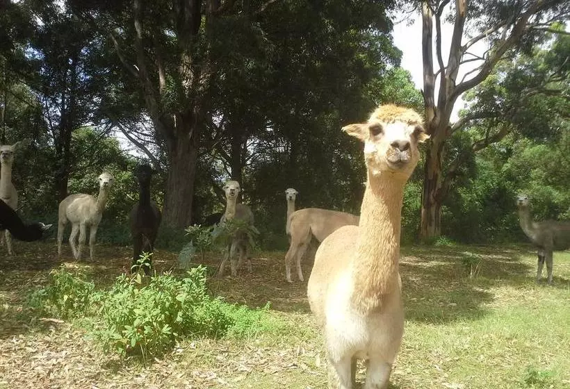 Gloucester On Avon Bed & Breakfast