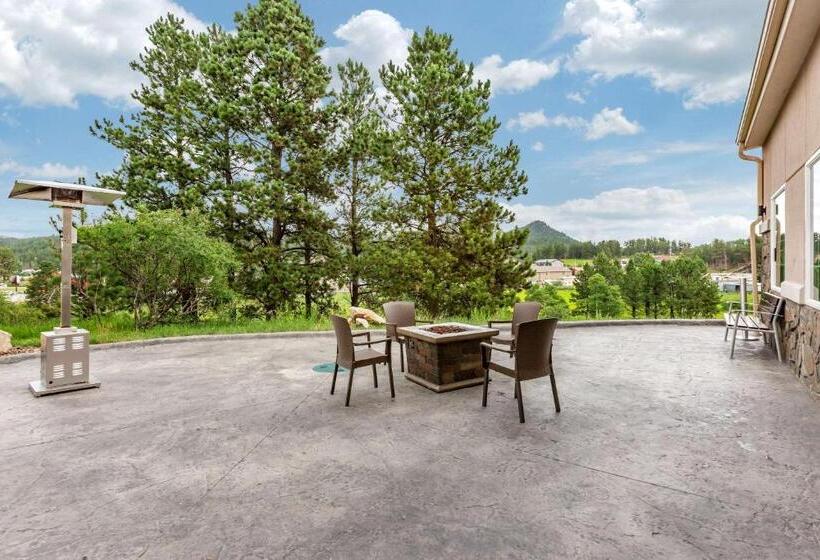 酒店 Comfort Inn & Suites Near Mt. Rushmore