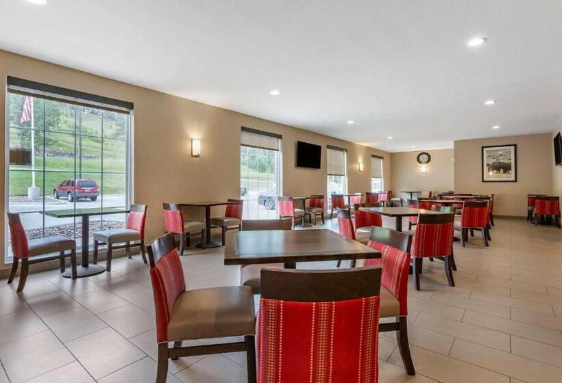 酒店 Comfort Inn & Suites Near Mt. Rushmore